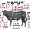 Know Your Beef & What to do With It. : 101 or Less