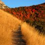 America's Ten Longest Trails