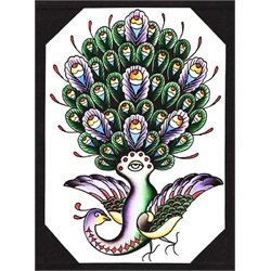 Joes Peacock by Joe Kowalski Bird Tattoo Artwork Canvas Fine Art Print