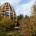 Tree Top Walkway – Bavarian Forest