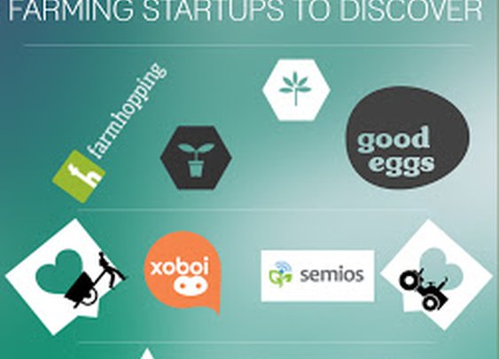 In the Spotlight - Farming Startups to Discover