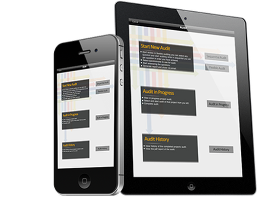 Audit app | niftymobileapps