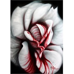 Rose Blood by Bobby Holland Bleeding Flower Deviant Canvas Art Print