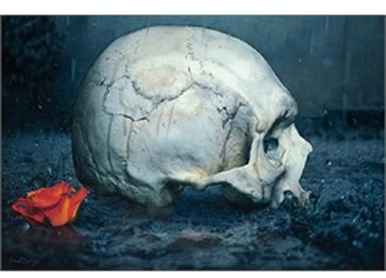 RIP by Daniel Esparza Human Skull and Rose Gothic Framed Art Print