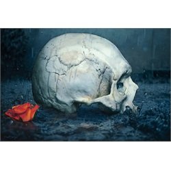 RIP by Daniel Esparza Human Skull and Rose Gothic Framed Art Print