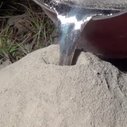 What You Get When You Pour Molten Aluminum Into An Ant Hill