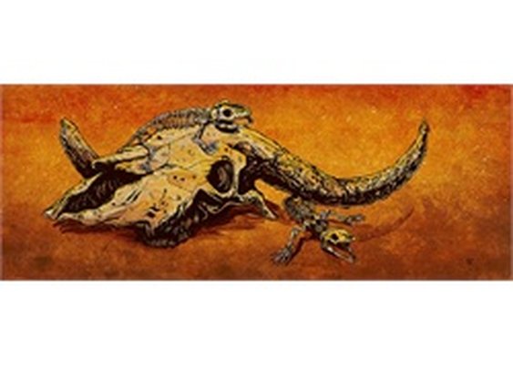 Desert Life by David Lozeau Bull Skull w Lizards Canvas Fine Art Print