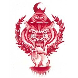 Mystic Tiger by Charlie Coffin Eye of Providence Red Canvas Art Print