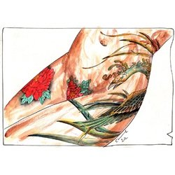 Lady Tattooed by Clark North Hou-Ou Phoenix Tattoo Canvas Art Print