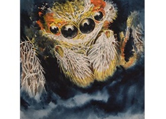 In The Shadows Clark North Insect Spider Face Artwork Canvas Art Print