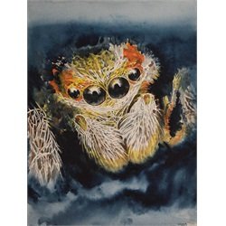 In The Shadows Clark North Insect Spider Face Artwork Canvas Art Print
