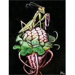 Manifestation by Jon Hoffman Praying Mantis on Brain Canvas Art Print