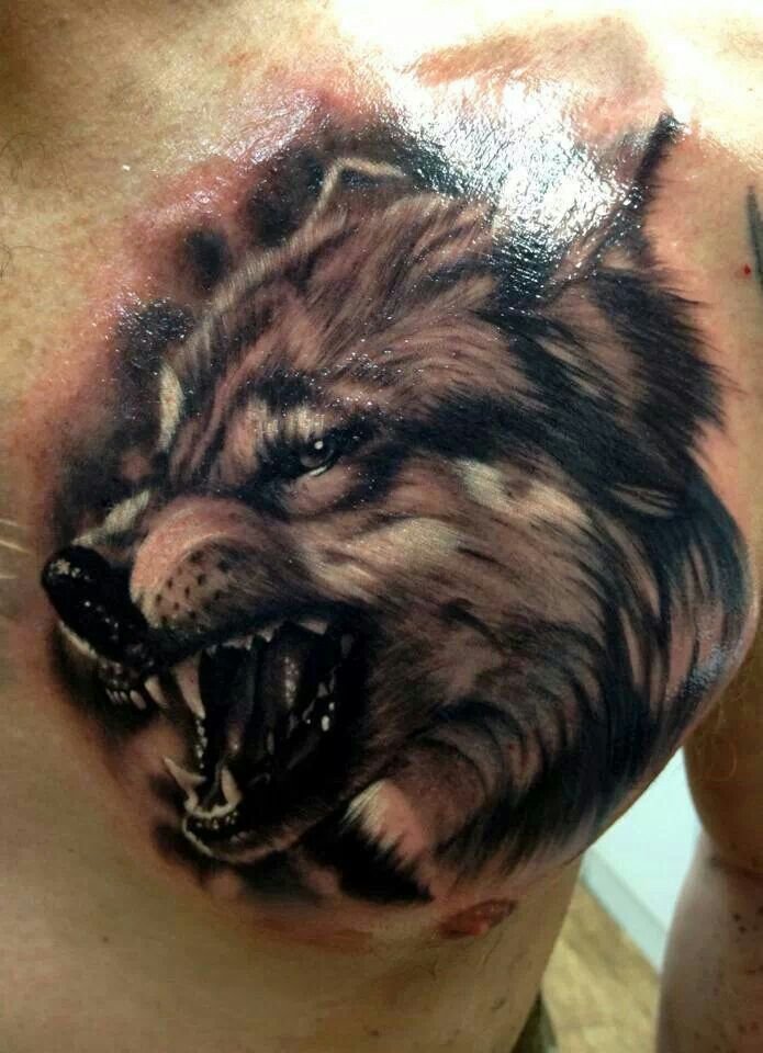 Brilliant Wolf Tattoo Designs