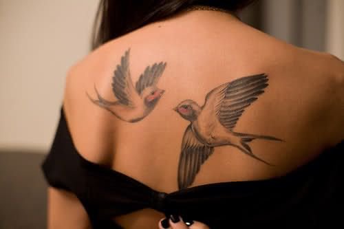 Nice Swallow Tattoo Designs