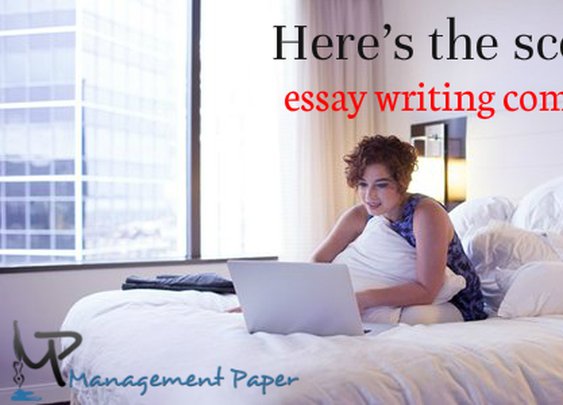 Here’s the scoop about essay writing companies in USA - Educational News