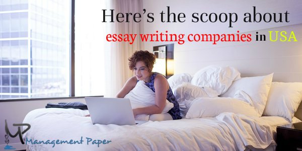 Here’s the scoop about essay writing companies in USA - Educational News