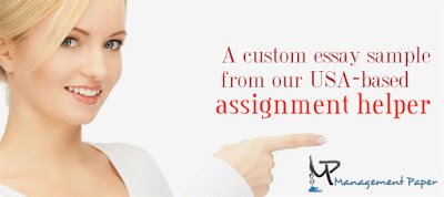 A custom essay sample from our USA-based assignment helper