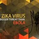 Zika Poses a Health Hazard Greater Than Ebola