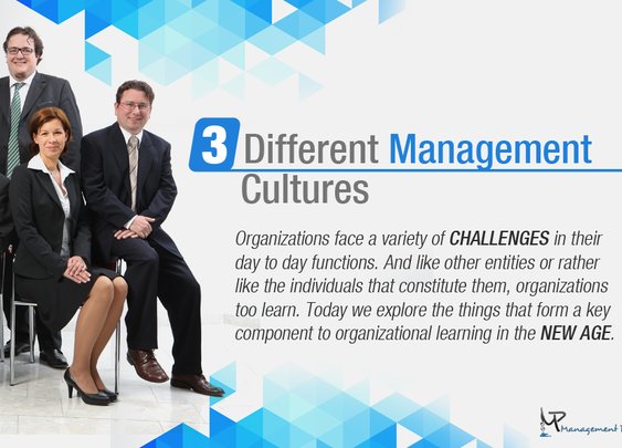 How Management Cultures Help Organizations Learn