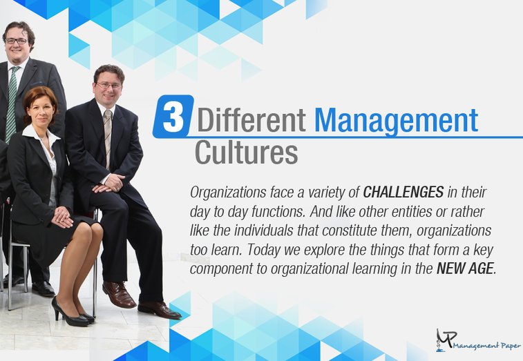 How Management Cultures Help Organizations Learn