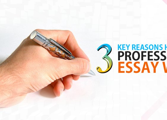 Why You Want to Hire Professional Essay Writing Services